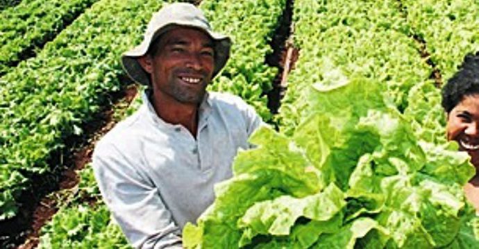 Agricultura em Angola (D.R)