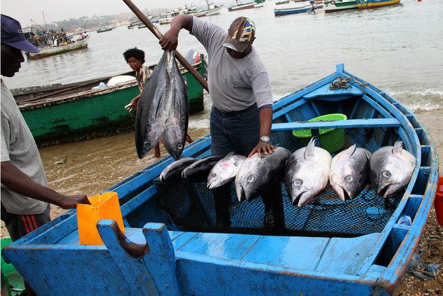 Pesca continental ganha novo impulso com inauguração de centro de tratamento pós-captura, no Cuanza Norte (Foto de arquivo). (Foto: Pedro Parente)