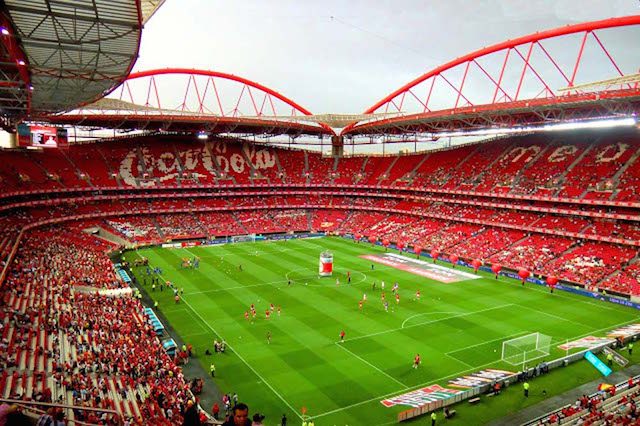 Estádio da Luz. Benfica. (Foto: D.R.)