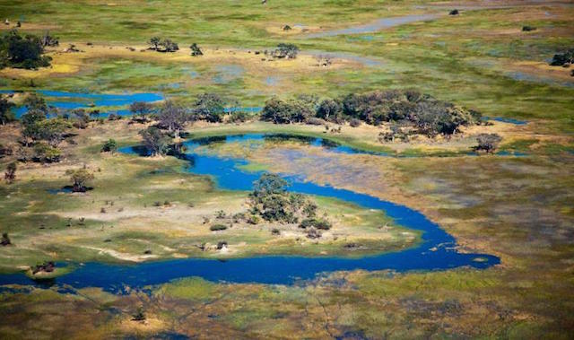 Bacia do Okavango, Angola (Foto: D.R.)