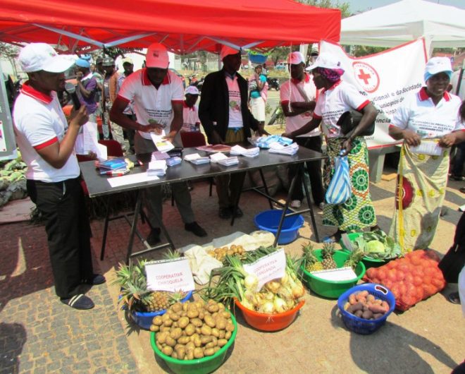 Feira de produtos agrícolas, no Bié (Foto: D.R.)